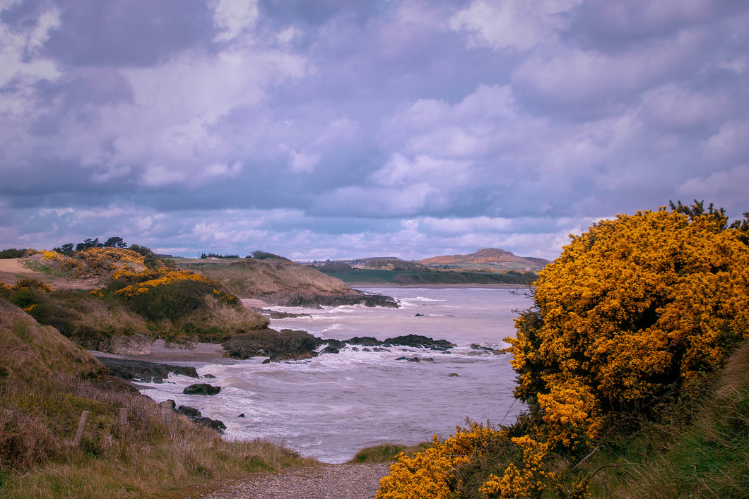 Kilmichael Point, Co. Wexford #2